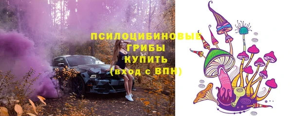 мескалин Коряжма