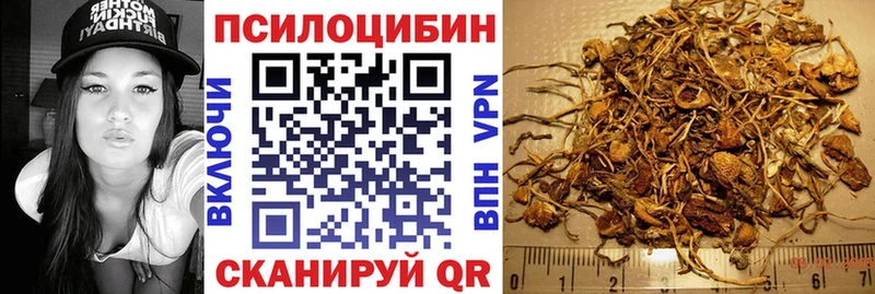 Псилоцибиновые грибы Cubensis  Купить закладки  Макарьев 